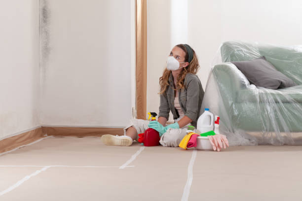 Reliable Black Mold Removal contractor in Georgetown, KY by WQB Mold Removal
